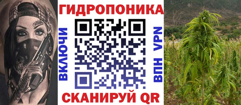 Купить наркотики Солнечногорск МАРИХУАНА  МДМА  ГАШ  Меф  Alpha PVP 