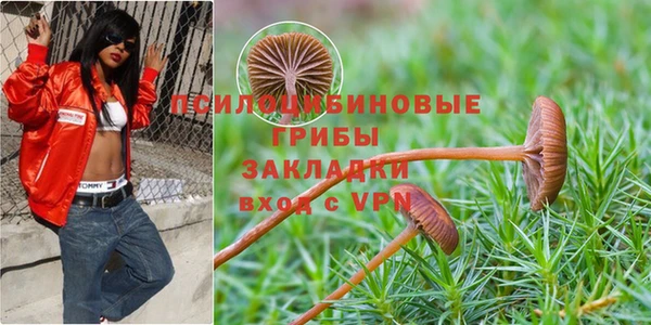 винт Аркадак