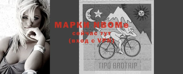 винт Аркадак